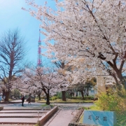 yuran.baek撮影場所:芝公園