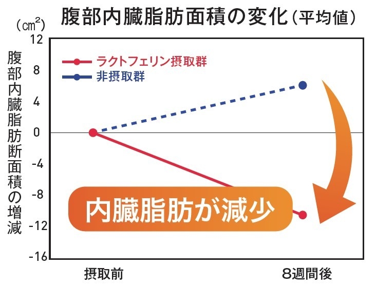 ラクトフェリンによる内臓脂肪減少
