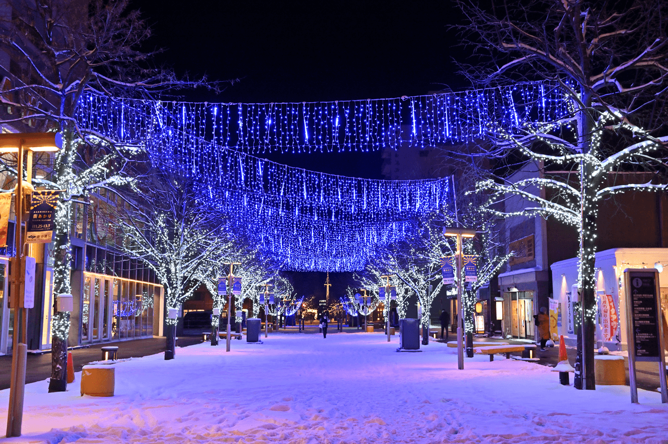 買物公園 アイスフォールイルミネーション(2)