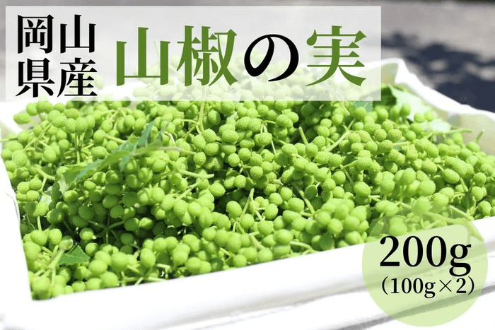 岡山県産 山椒の実 