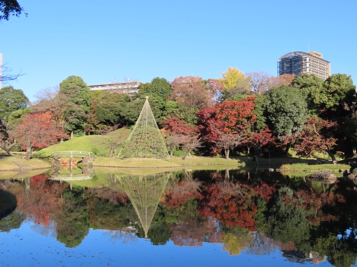 大泉水(11月29日撮影)