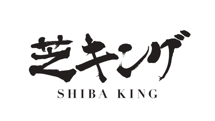 人工芝の芝キング