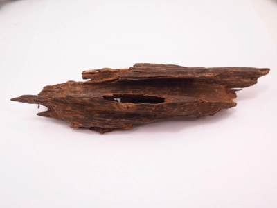 お香の老舗「香源」香木買取事業部を新設立　 希少資源を守り、日本の香り文化と環境保護に貢献