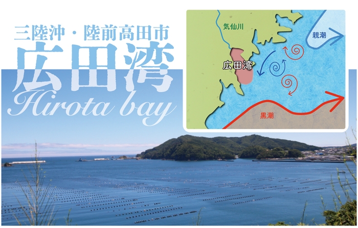 世界三大漁場三陸沖広田湾(陸前高田市)