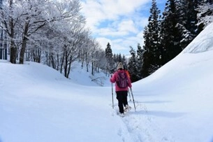 冬にしか見られない一面の銀世界　 魚沼市のおすすめ冬のスノーアクティビティ3選