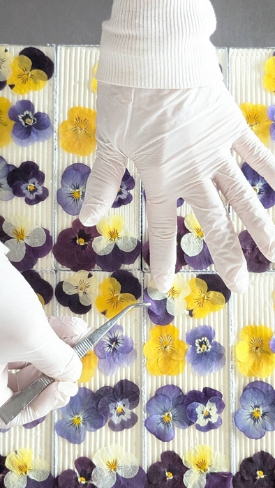 エディブルフラワーを飾っていきます