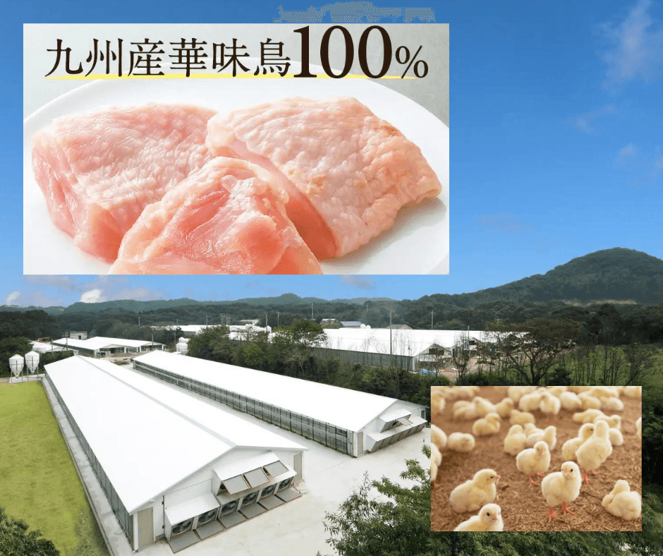 九州産華味鳥100%使用