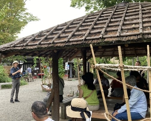 野草ウォッチング(昨年の様子)