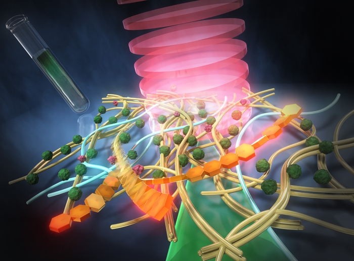 図1:超解像赤外分光イメージングによるバイオフィルム内の分子組成の可視化