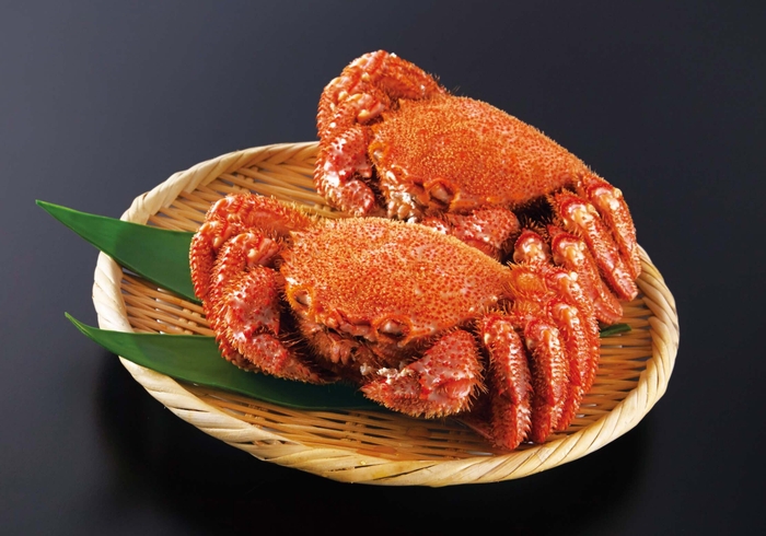 北海道産毛がに2尾