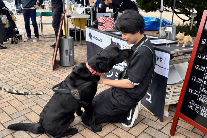 ドッグトレーナーと一緒に体験