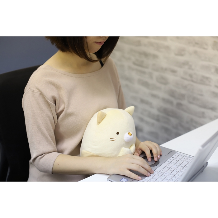 使用イメージ(2)