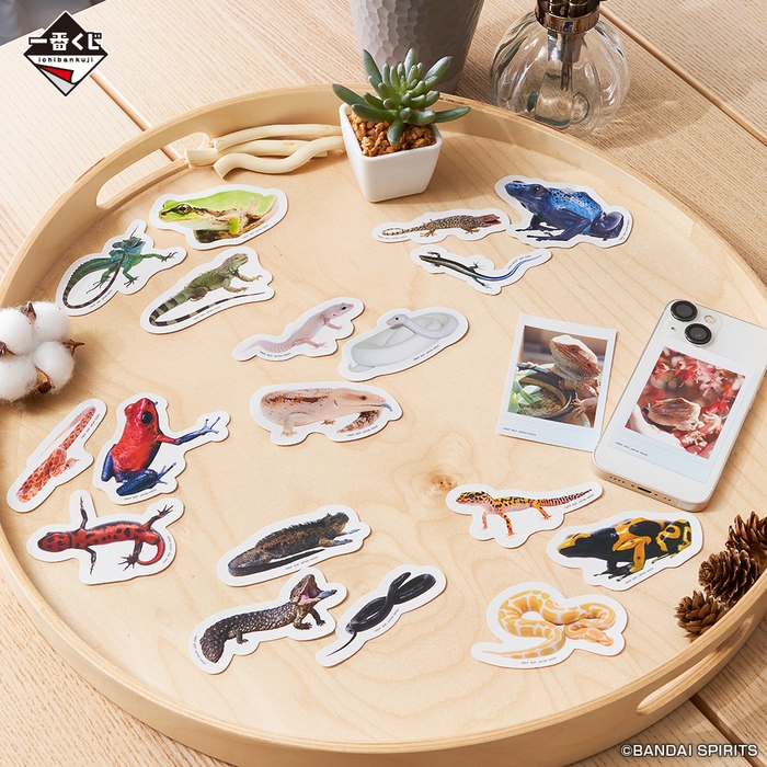 F賞:ステッカーコレクション(イメージ)