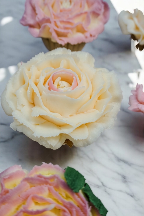 「Faina's CUPKEY ~彦根のバラ~」(3)