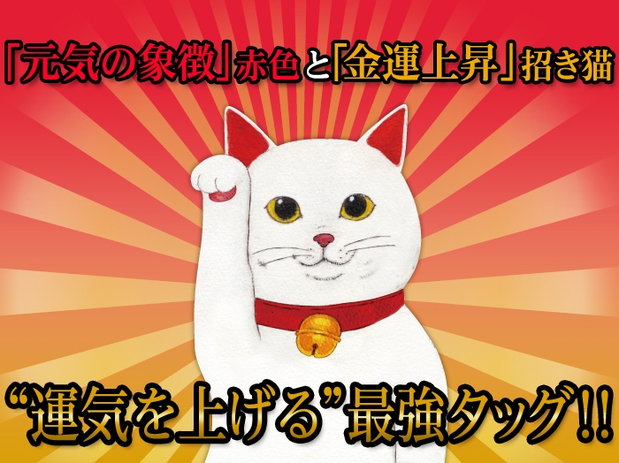 金運の招き猫と元気の赤の最強タッグ!開運招き猫パンツ