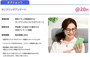 オプション(1):サンプリングアンケート