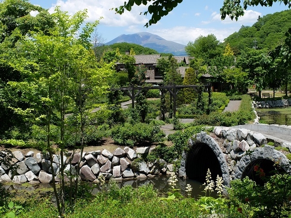 新緑 4月~5月