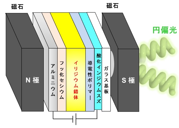 新しい円偏光有機発光ダイオード