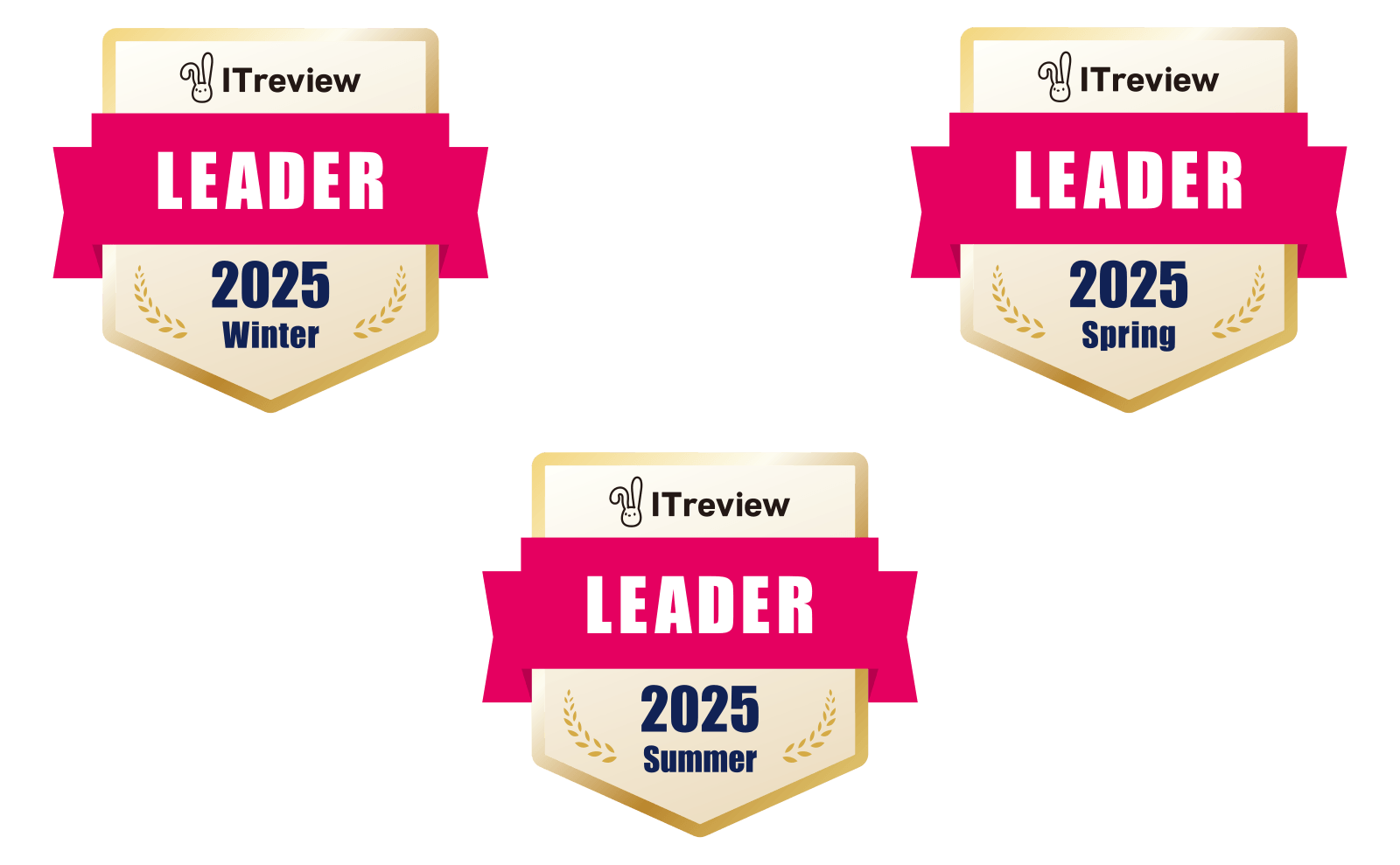 ITreview Grid Award 2025 3期連続Leader受賞