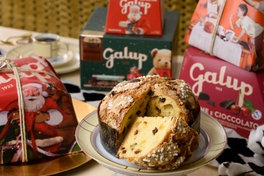 クリスマスの新定番！ イタリアのクリスマス伝統菓子パネットーネが12月3日(水)より 松屋銀座・大丸札幌店・オンラインサイトで販売開始