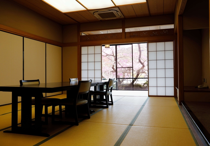 完全個室からも桜が見えます