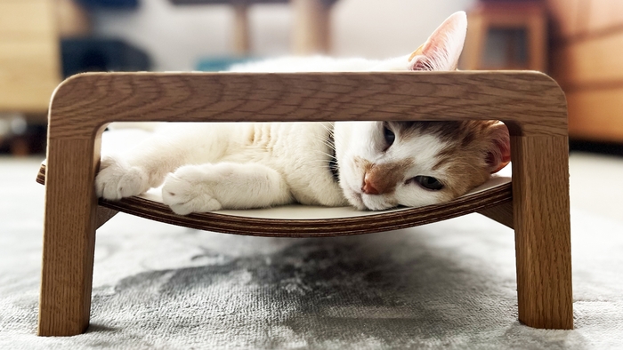 無垢材の心地よさを愛猫に！