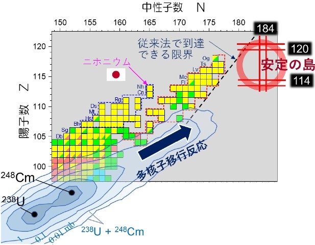 図2 超重元素領域において、これまで人工的に生成された原子核と「安定の島」の位置。「安定の島」は、中性子数=184、陽子数=114(または120)の魔法数※5 で生じ、原子核を安定化させる。等高線は、ウランをキュリウム(原子番号96)標的にぶつけた際に、多核子移行反応によって生成される様々な複合核の確率分布(理論計算)を示す。分布の先に、「安定の島」が見える。
