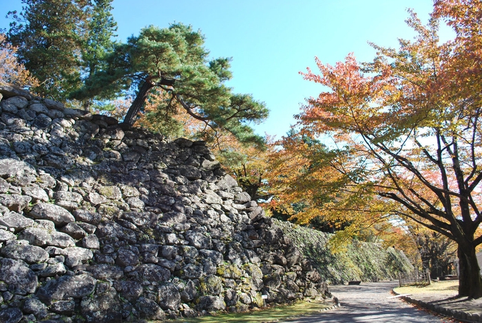 小諸城址懐古園 馬場