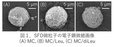 【名城大学】肺に効率的に届けて長く留まる機能性吸入粉末薬を設計