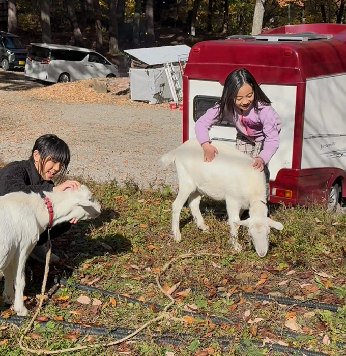 写真(7):ヤギ放牧で下草がない状態