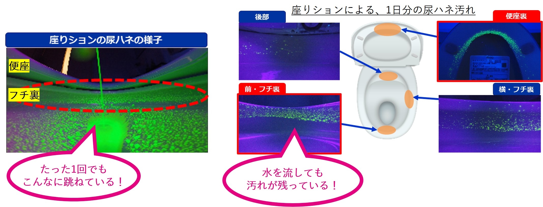座りションによる、1日分の尿ハネ汚れ 実験画像