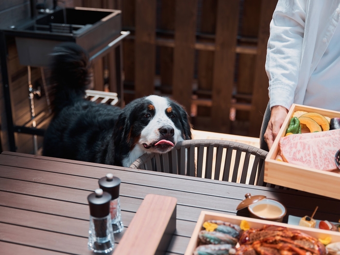 ワンちゃんと一緒にBBQ(DOG棟 tassu)