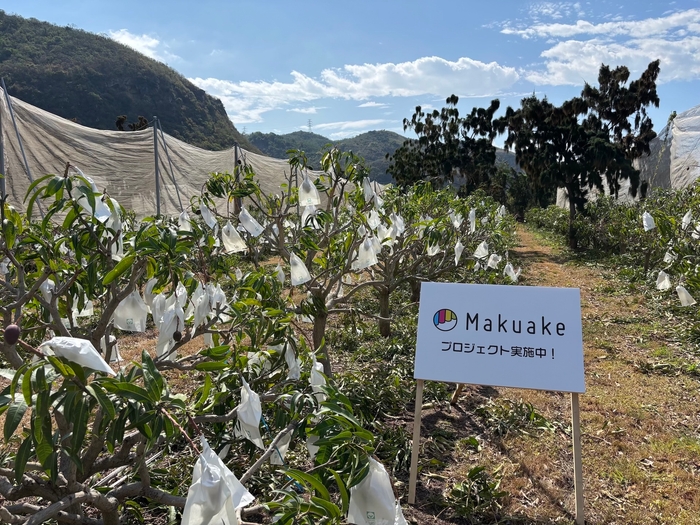 Makuake　目標1200%超え