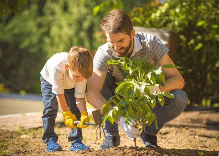 環境にやさしい取り組み
