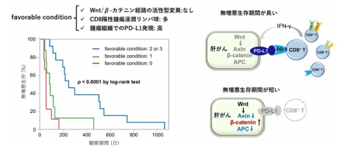 免疫チェックポイント阻害剤有効例に関わる因子(favorable condition)と無増悪生存期間