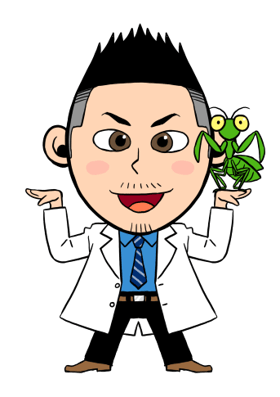 カマキリ博士