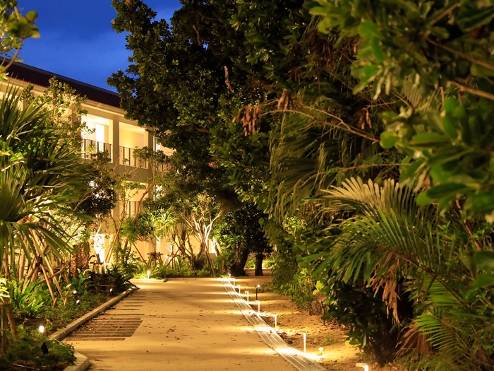 島の自然を残した保安林