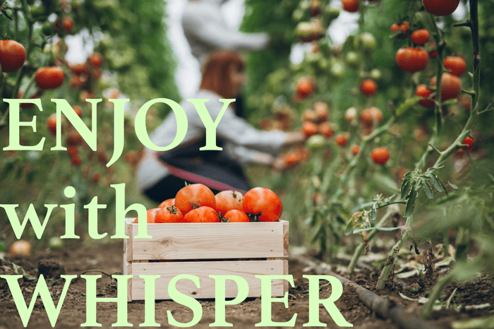Enjoy with WHISPER