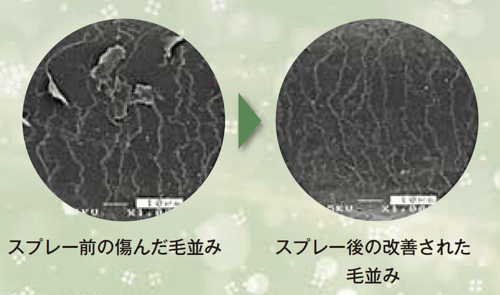 ヘアケア