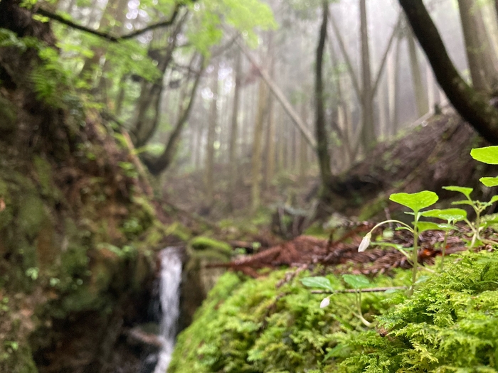 #The outdoor rice 水源(1)