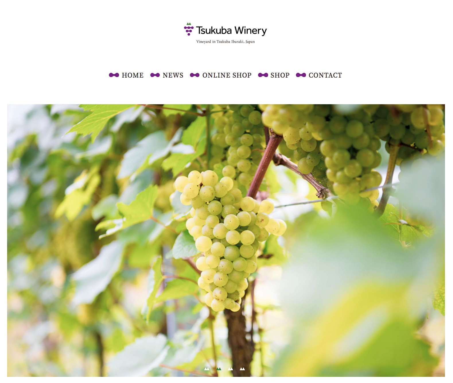 つくばワイナリーホームページ