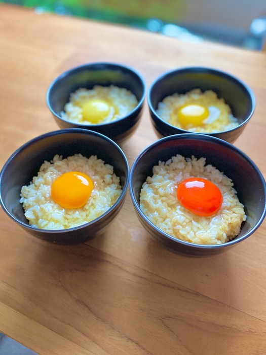 絶品たまごの味比べをお楽しみください!