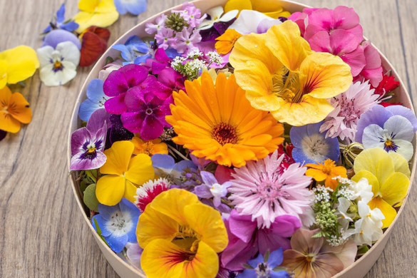 柴田農園 エディブルフラワー