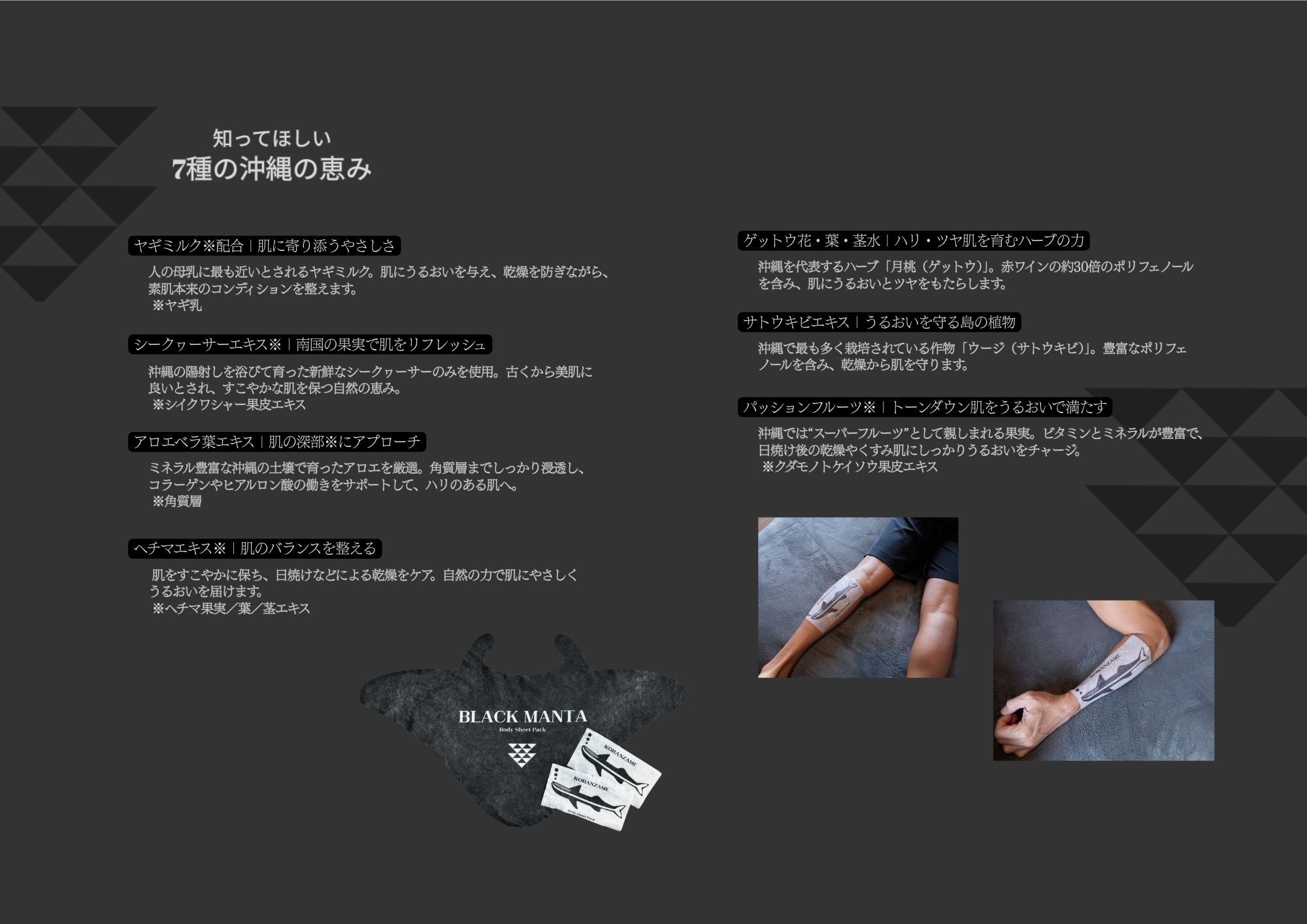 資料_P12