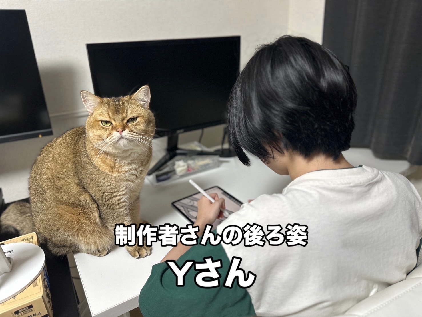 デザインの制作者 Yさん