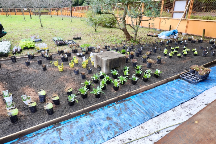 GreenPlace 植栽風景