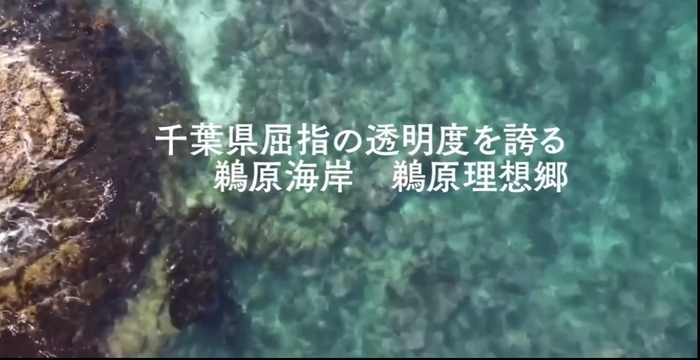 千葉県勝浦市鵜原理想の海水