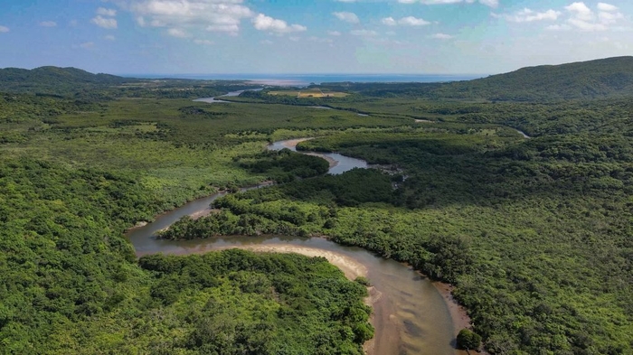 島の90%がジャングルに覆われた西表島
