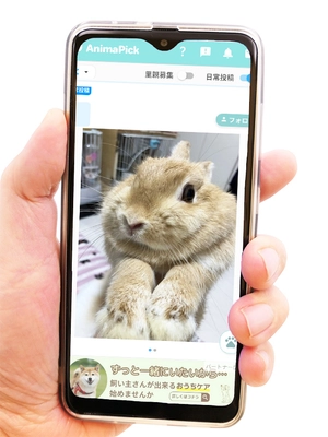コロナ禍以降寄付減少、疲弊する動物保護現場　 見るだけで支援になるSNSアプリ『AnimaPick』が新機能リリース