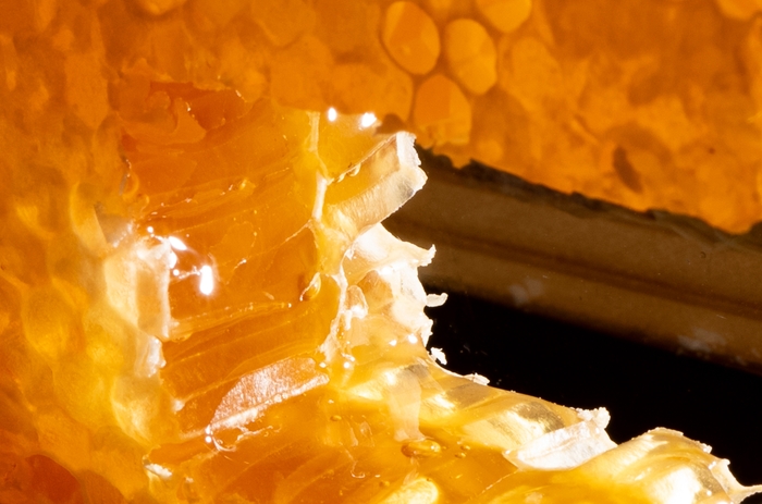 巣蜜　堀養蜂園